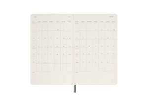 Moleskine 12 Monate Tageskalender 2024, Large/A5, Myrtengrün