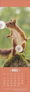 Eichhörnchen Lesezeichen & Kalender 2023. Süße kleine Aufmerksamkeit zu Weihnachten für Tierfreunde: Niedliche Eichhörnchenfotos, praktischer kleiner Kalender und Lesezeichen in einem!