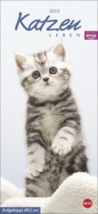 Whiskas Katzenleben Kalender 2023. Süße Kätzchen in allen Lebenslagen in einem Wandkalender 2023 zum Eintragen. Immer den Überblick über alle Termine mit dem praktischen Streifenkalender.