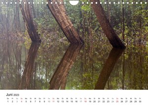 Mythos Amazonas - Naturparadies Brasiliens (Wandkalender 2023 DIN A4 quer)