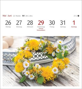 Blumenpracht Postkartenkalender 2025 - Wochenkalender mit 53 Postkarten
