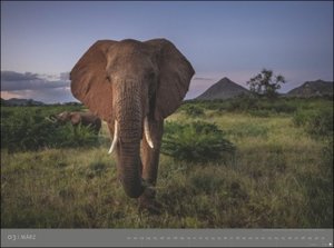 Afrika Kalender 2024: Alexander von Humboldt-Reihe. Hochwertiger Foto-Wandkalender mit atemberaubenden Landschafts-Fotografien. Mit Informationen und Landkarte. 78 x 58 cm