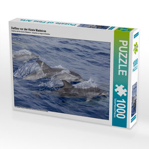 CALVENDO Puzzle Delfine vor der Küste Madeiras 1000 Teile Puzzle quer