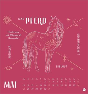 Krafttiere Postkartenkalender 2026
