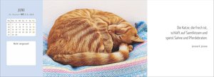 Katzen Premium-Tischplaner 2026 - Der literarische Wochenkalender mit Zitaten