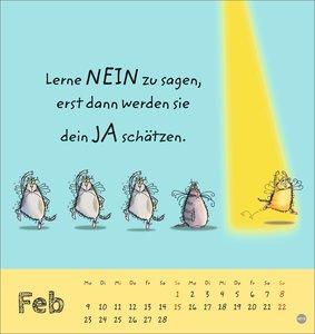 Catzz Postkartenkalender 2026