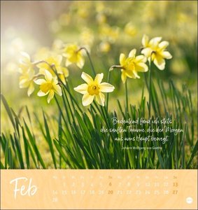 Ich wünsch dir ... Zeit zum Träumen Postkartenkalender 2022