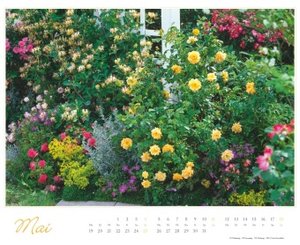 Im Rosengarten 2025 - DUMONT Garten-Kalender - Querformat 52 x 42,5 cm - Spiralbindung