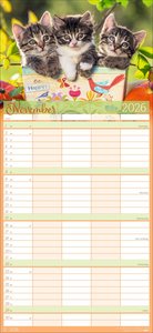 Cool Cats Familienplaner 2026