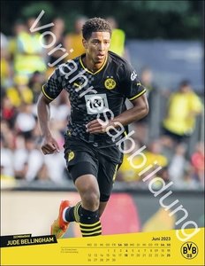 BVB Posterkalender. Jahres-Wandkalender 2024 für Fußballfans. Fotokalender mit den Stars von Borussia Dortmund. Kalender im Hochformat 34 x 44 cm.