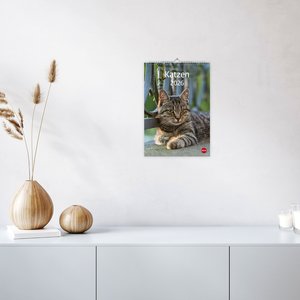 Katzen Kalender 2026