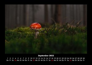 Pilzkalender 2022 Fotokalender DIN A3
