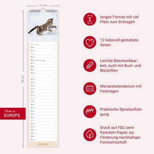 times&more Katzen Langplaner 2026