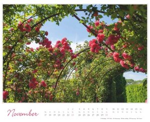 Im Rosengarten 2025 - DUMONT Garten-Kalender - Querformat 52 x 42,5 cm - Spiralbindung