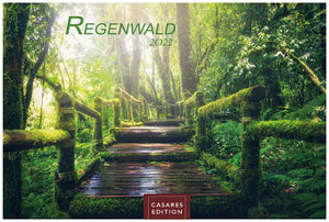 Regenwald 2022 L