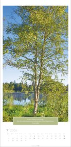 Wunderwelt der Bäume Kalender 2026