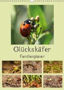 Glückskäfer / Familienplaner