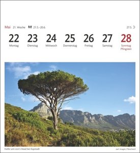 Südafrika Sehnsuchtskalender 2023. Kleiner Wochen-Kalender zum Aufstellen für Urlaubsfeeling zu Hause. Postkarten-Fotokalender für den Schreibtisch. Auch zum Aufhängen.