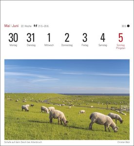 Nordseeküste Kalender 2022
