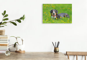 Premium Textil-Leinwand 45 cm x 30 cm quer Großer Schweizer Sennenhund