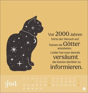 Katzensprüche Postkartenkalender 2025