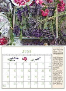 DUMONTS Aromatische Kräuter 2025 - Broschürenkalender - Wandkalender - mit Rezepten und Texten - Format 42 x 29 cm