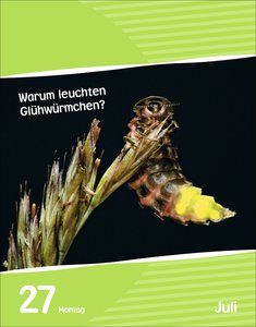 Wissen für Kids Tagesabreißkalender 2026