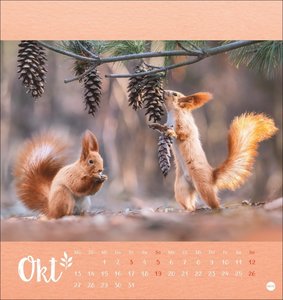 Vadim Trunov: Märchenhaftes Waldleben Postkartenkalender 2025