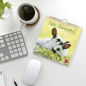 Süße Kaninchen Postkartenkalender 2026