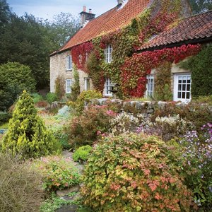 Bauerngarten / Cottage Garden / Jardin de campagne 2018