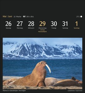 Weltreisen Postkartenkalender 2025 - Kalender mit 53 Postkarten