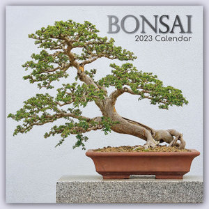 Bonsai 2023 - 16-Monatskalender