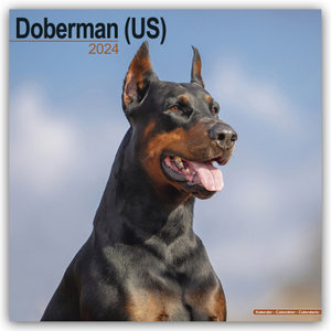 Doberman - Dobermann 2024 - 16-Monatskalender