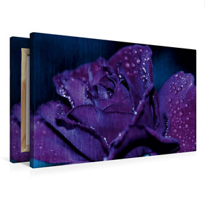 Premium Textil-Leinwand 75 cm x 50 cm quer dunkle Rose