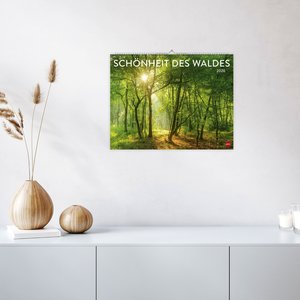 Schönheit des Waldes Posterkalender 2026