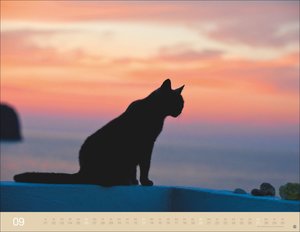 Monika Wegler: Katzenkalender 2026