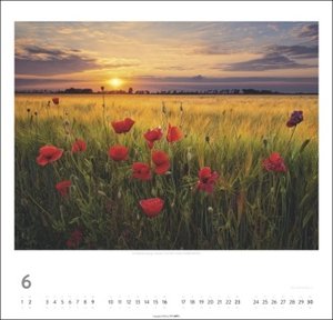 Deutschland - Ein Märchenland Kalender 2024. Verträumte Fotos in einem großen Kalender. Landschaften Deutschlands eingefangen von namhaften Fotografen. Wandkalender im Großformat.