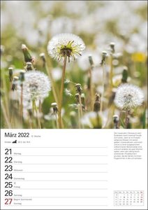 Bienenwiesen Kalender 2022