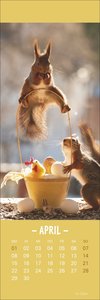 Eichhörnchen Lesezeichen & Kalender 2024. Süße kleine Aufmerksamkeit zu Weihnachten für Tierfreunde: Niedliche Eichhörnchenfotos, praktischer kleiner Kalender und Lesezeichen in einem!