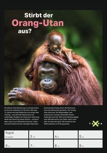 Terra X - Das Wunder Erde Wochenplaner 2026