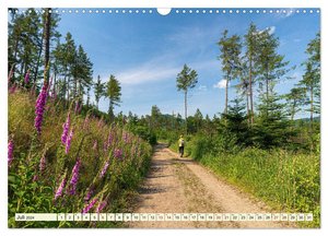 Zittauer Gebirge-Urlaubsromantik und Wanderparadies (Wandkalender 2024 DIN A3 quer), CALVENDO Monatskalender