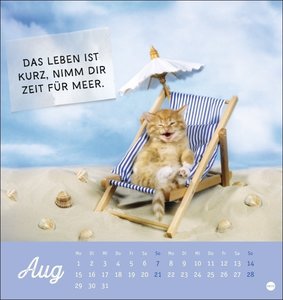 Tierisch gut drauf Postkartenkalender 2022