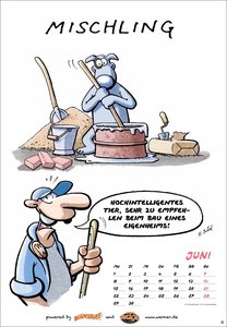 Werner Kalender 2026