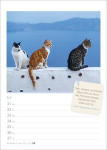 Katzenglück Wochenkalender 2025 - mit Zitaten