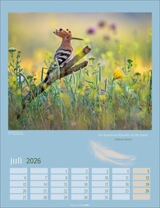 Heimische Vögel Kalender 2026