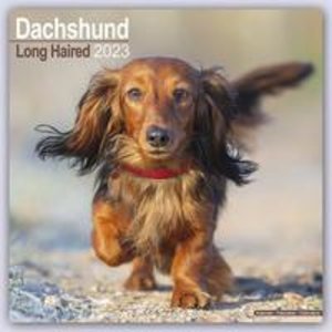 Longhaired Dachshund - Langhaardackel 2023 - 16-Monatskalend