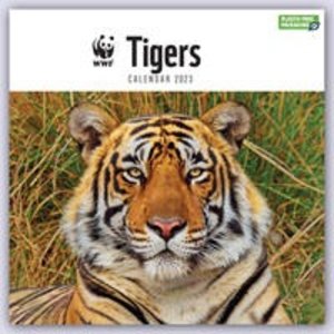 WWF Tigers - Tiger 2023