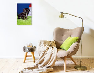 Premium Textil-Leinwand 30 cm x 45 cm hoch Ein Motiv aus dem Kalender Chihuahua Welpen