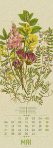 Wildwuchs - Botanische Illustrationen - Graspapier-Kalender 2024