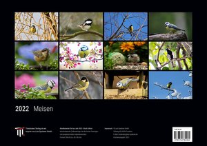 Meisen 2022 - Black Edition - Timokrates Kalender, Wandkalender, Bildkalender - DIN A3 (42 x 30 cm)